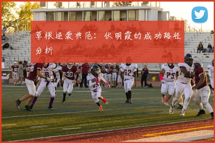 草根逆袭典范：伏明霞的成功路径分析