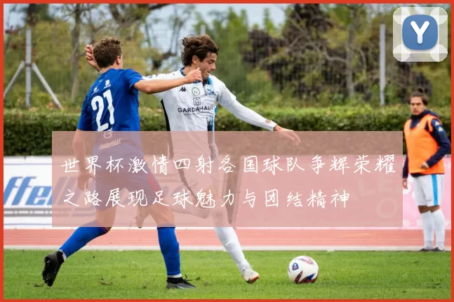 世界杯激情四射各国球队争辉荣耀之路展现足球魅力与团结精神