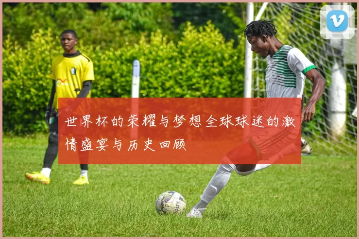 世界杯的荣耀与梦想全球球迷的激情盛宴与历史回顾