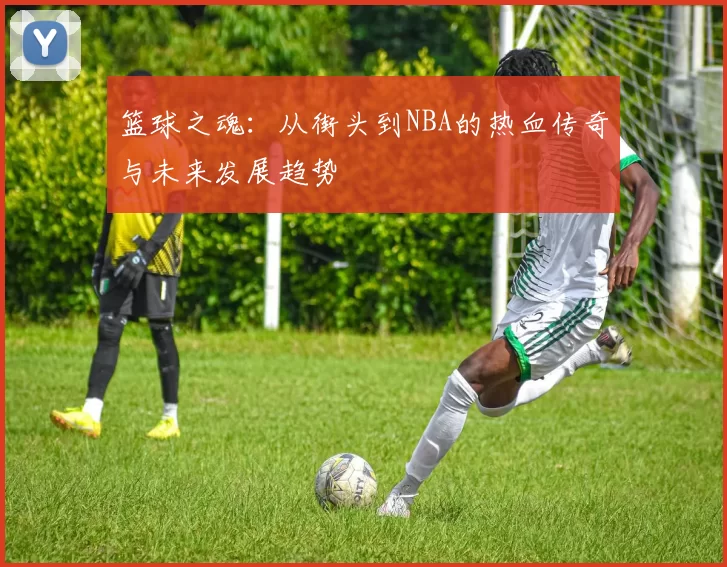 篮球之魂：从街头到NBA的热血传奇与未来发展趋势