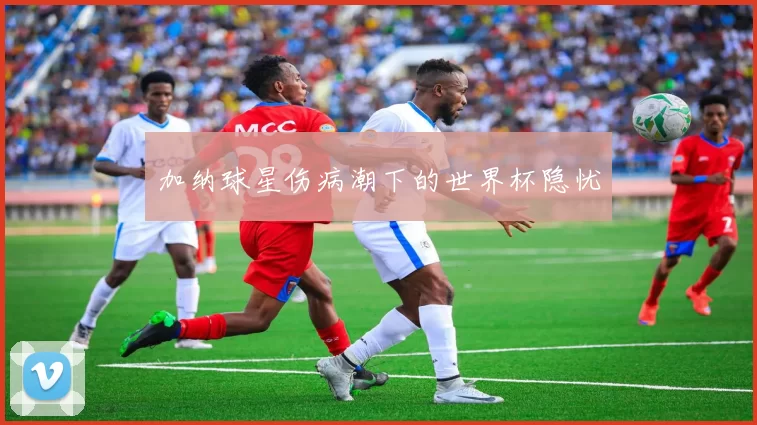 加纳球星伤病潮下的世界杯隐忧
